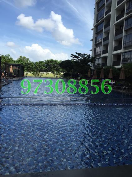 8@Woodleigh (D13), Condominium #113416522